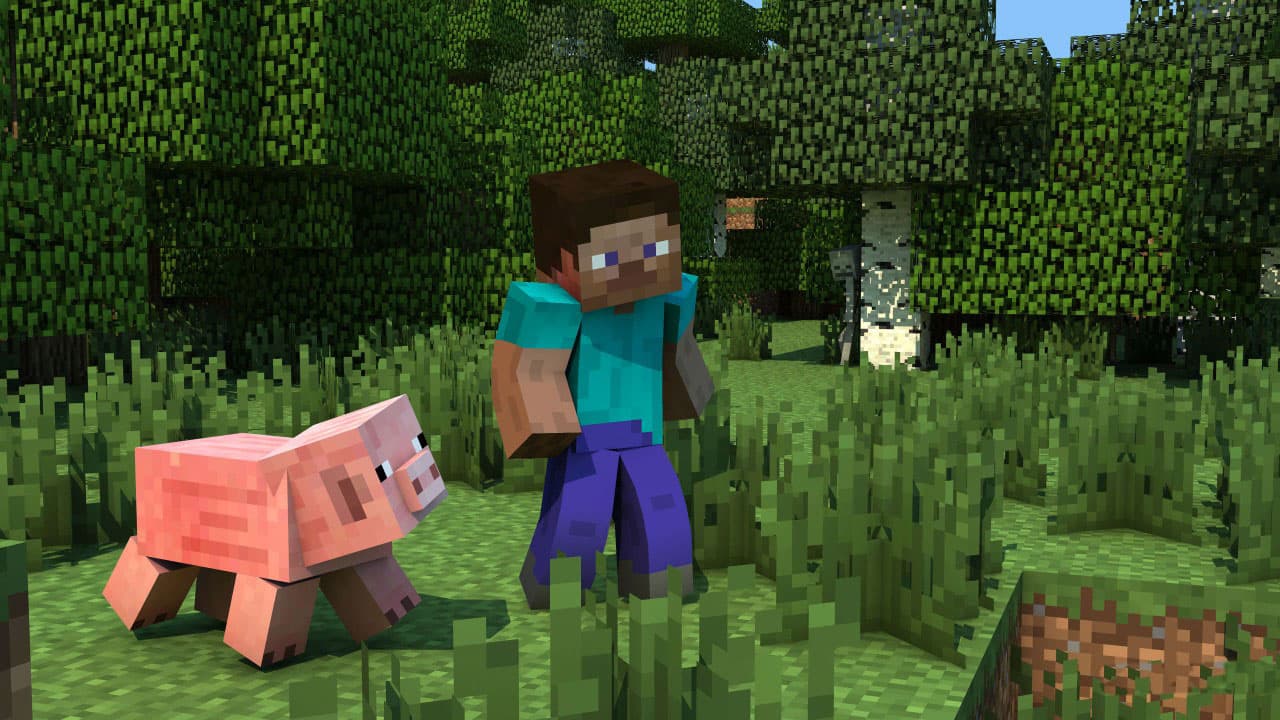 Making More Out of Minecraft with Servers